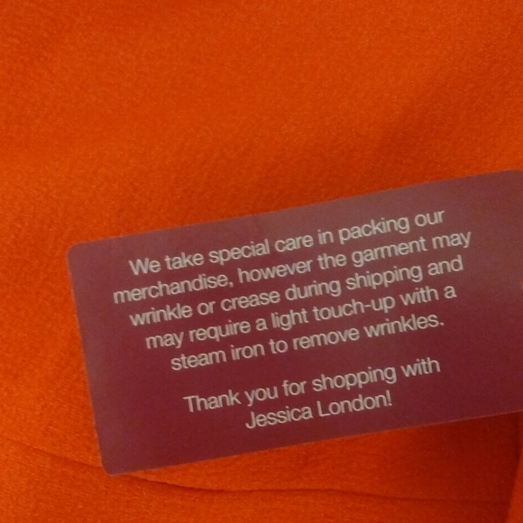 Burnt orange Dress and Matching blazer - Picture 8 of 12